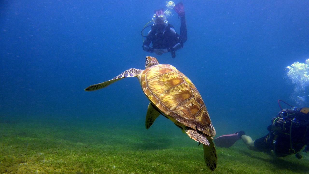 Deluna Diving Resort ปูแอร์โตกาเลรา ภายนอก รูปภาพ