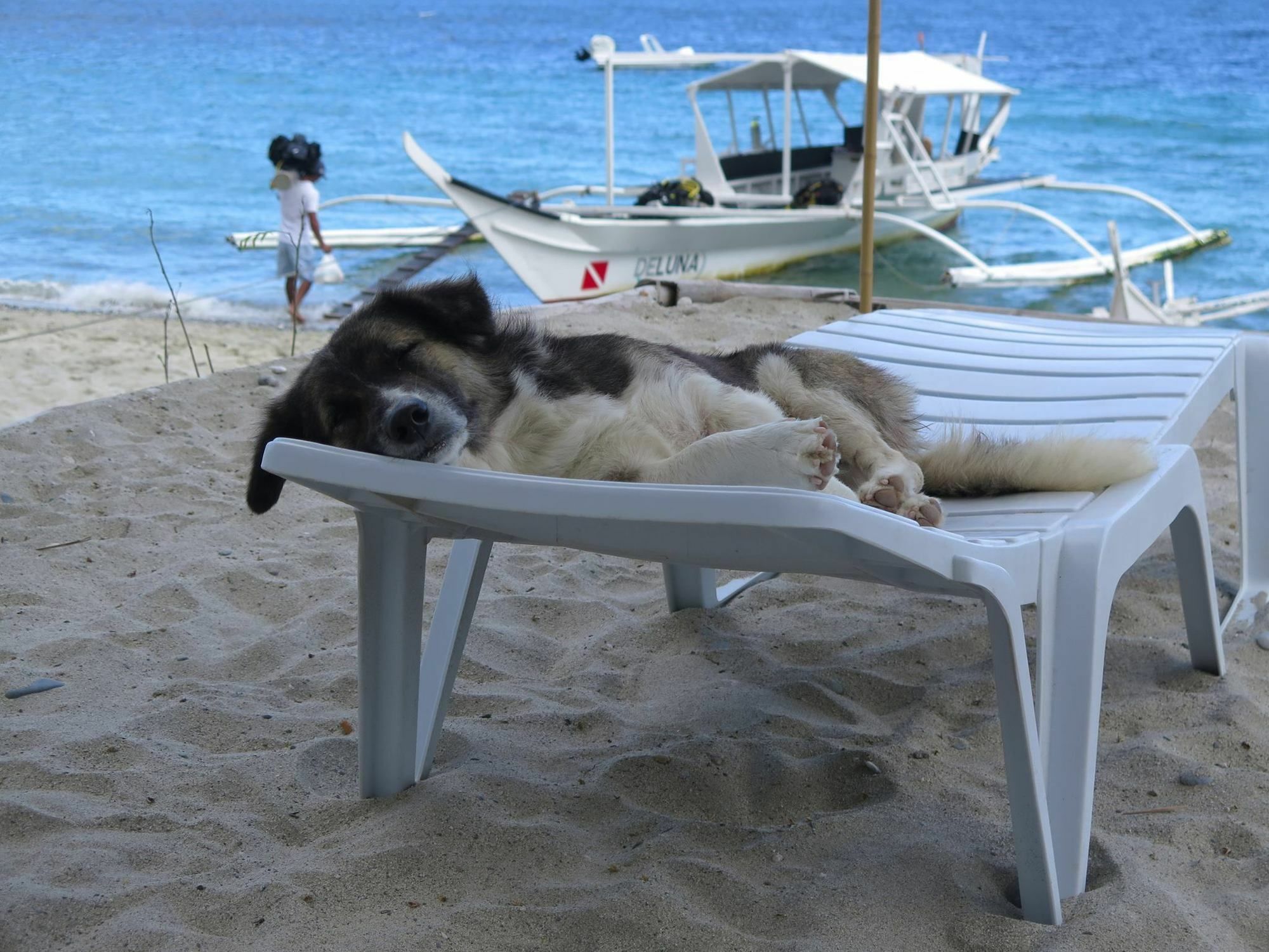 Deluna Diving Resort ปูแอร์โตกาเลรา ภายนอก รูปภาพ